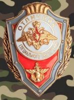 Изображение награды : нагрудный (наградной) знак "Отличник социального обеспечения"