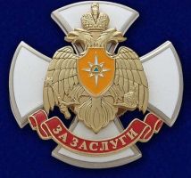 Изображение награды : нагрудный (наградной) знак "За заслуги"