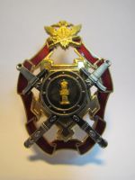 Изображение награды : нагрудный (наградной) знак "Лучший сотрудник службы собственной безопасности"