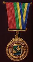 Изображение награды : нагрудный (наградной) знак "За заслуги перед городским округом Шатура"