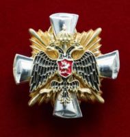Изображение награды : нагрудный (наградной) знак "Почетный знак Российского военно-исторического общества"